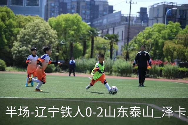 半场-辽宁铁人0-2山东泰山 泽卡点射+双响谢文能助攻马德鲁加造点